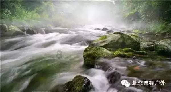逃离阴暗的房屋